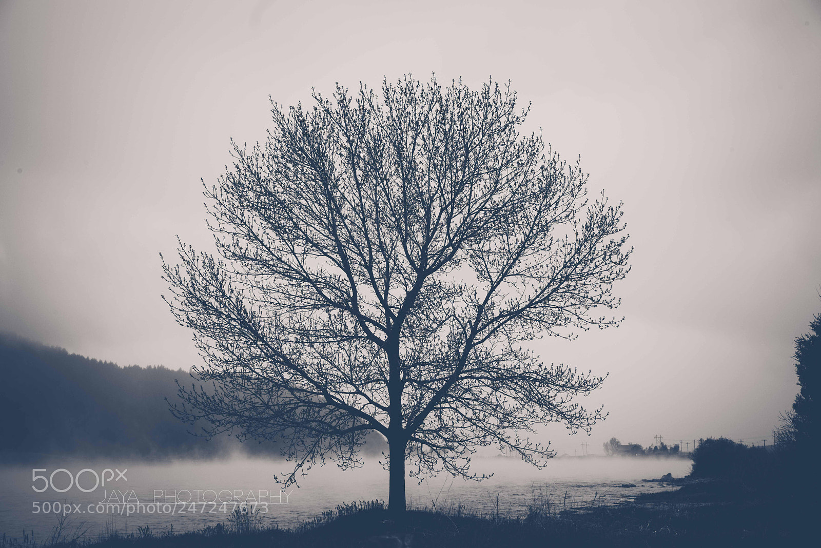 Nikon D810 sample photo. Age photography