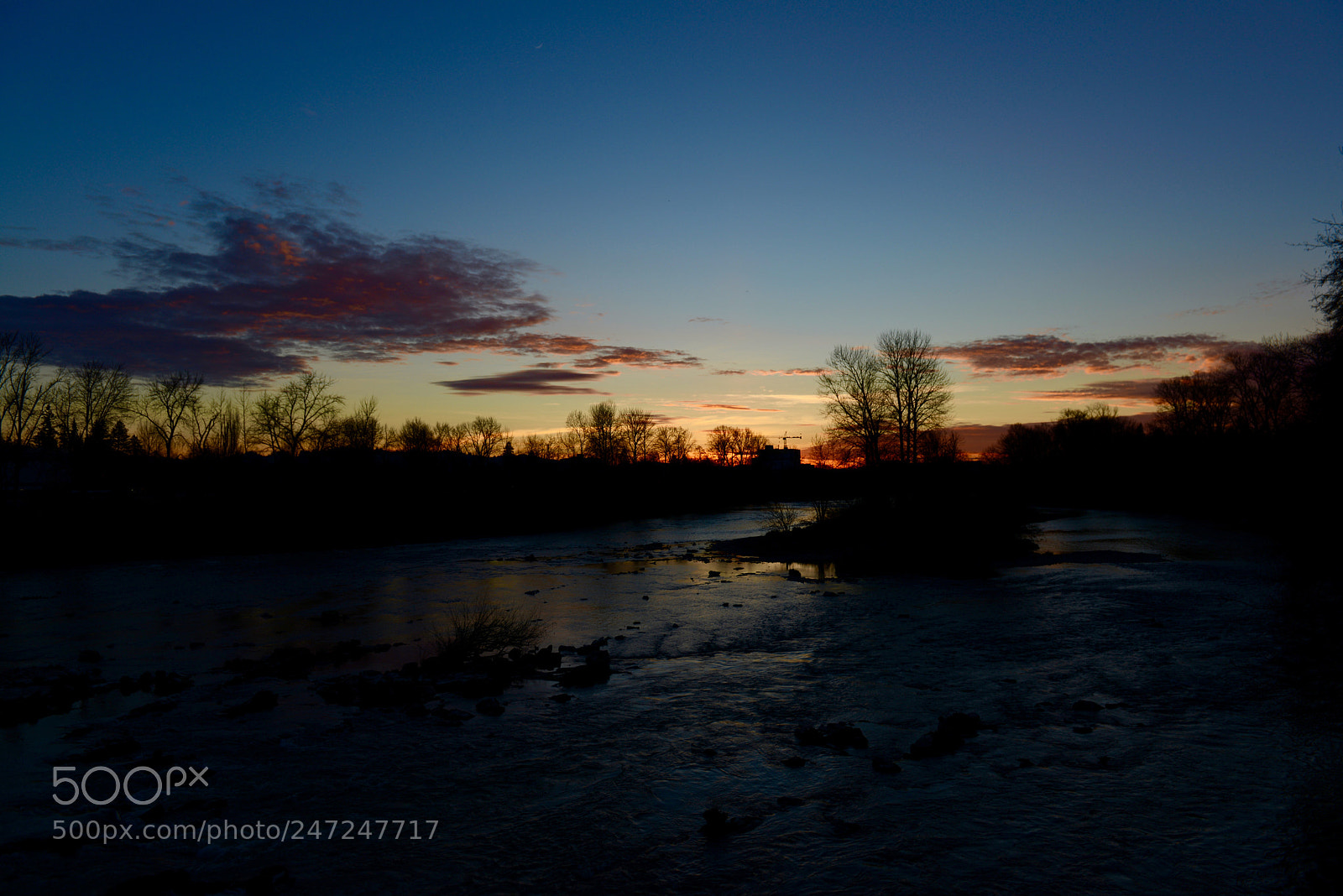 Nikon D800 sample photo. Dawn of eugene photography