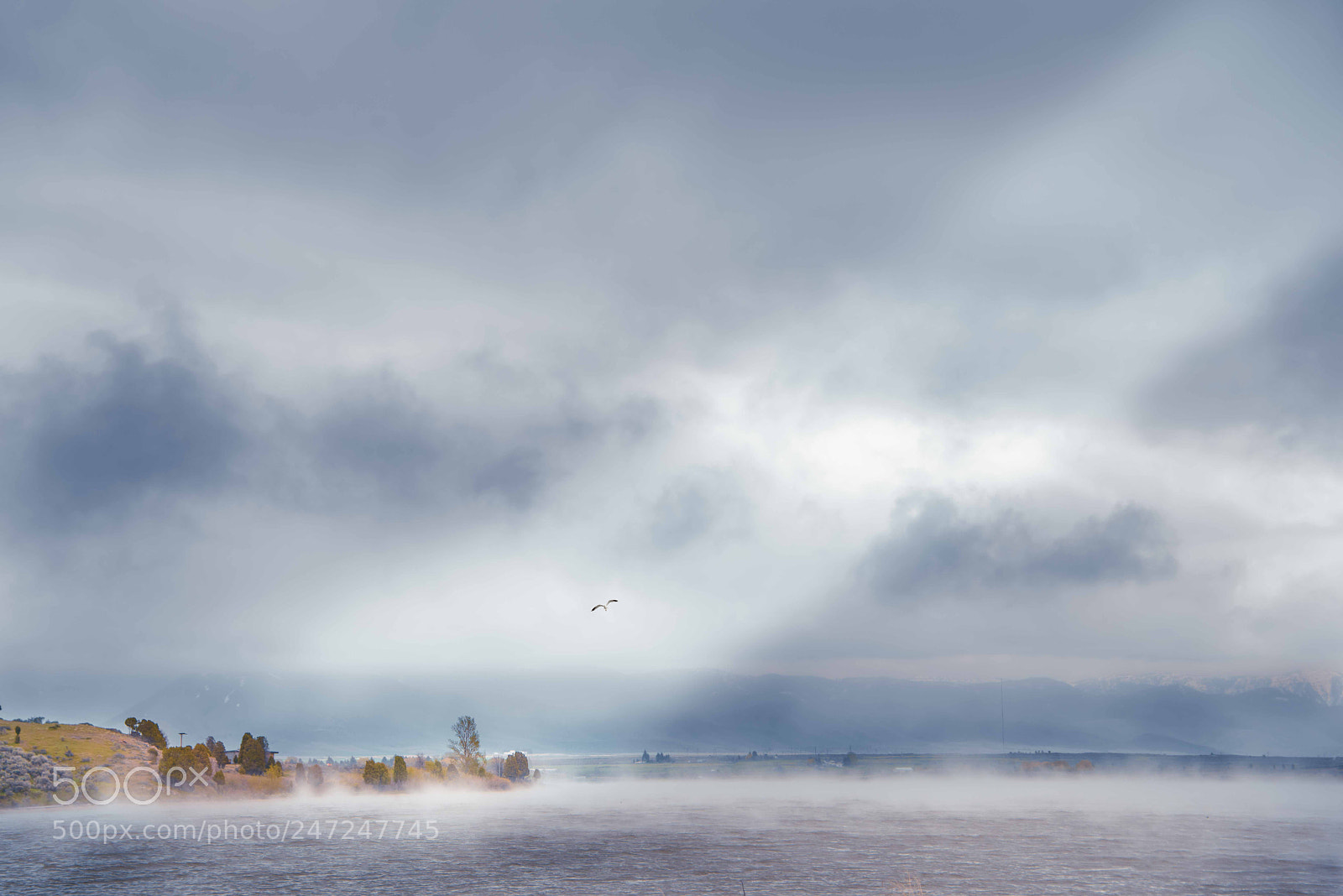 Nikon D810 sample photo. Spotlight photography