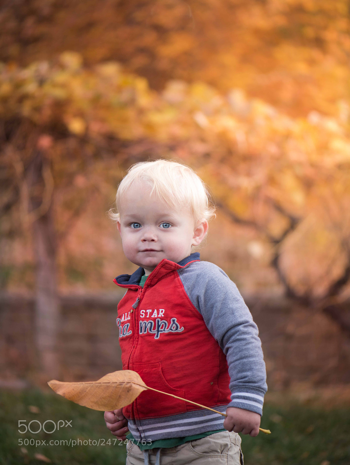 Nikon D810 sample photo. Autumn discovery photography