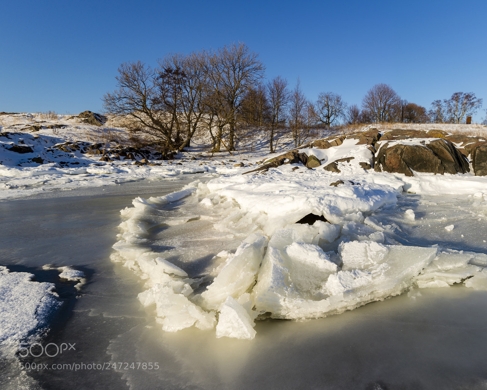 Nikon D5200 sample photo. Walking whit camera on photography