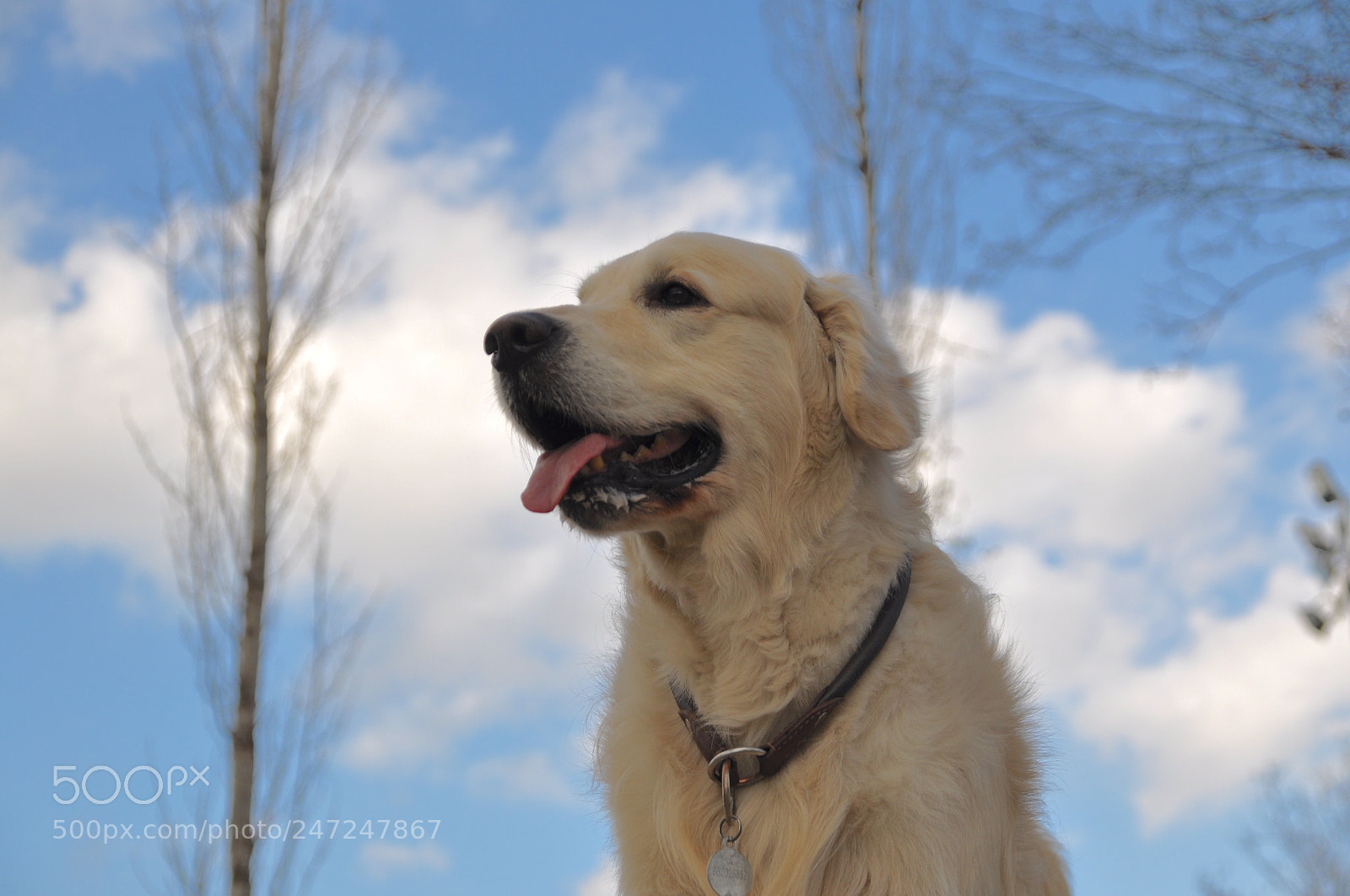 Nikon D90 sample photo. Untitled photography