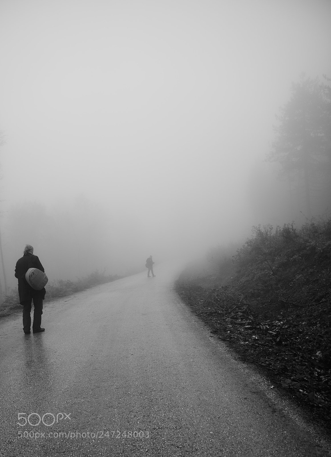 Nikon D800 sample photo. Nebel photography