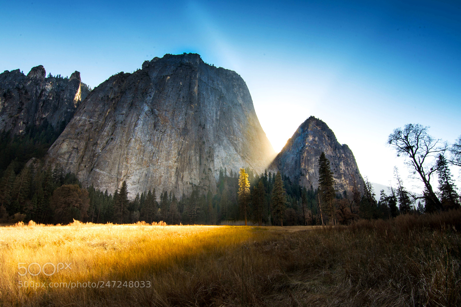 Nikon D7100 sample photo. Yosemite np photography