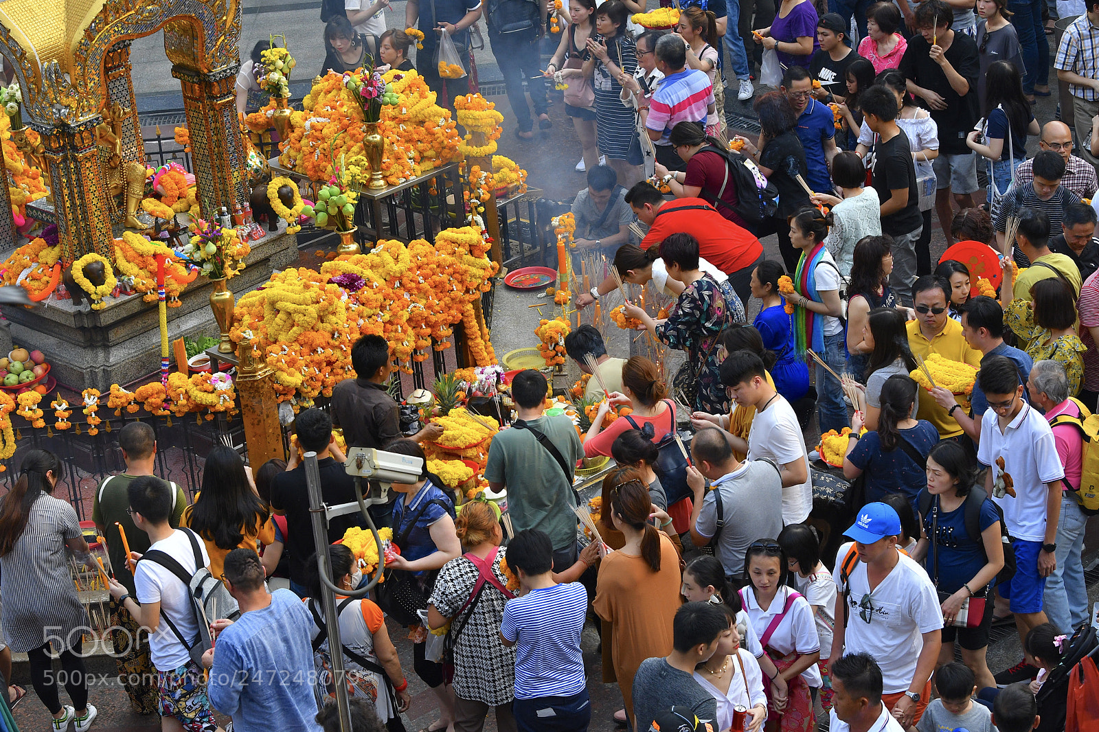 Nikon D7500 sample photo. Bangkok thailand february 2018 photography