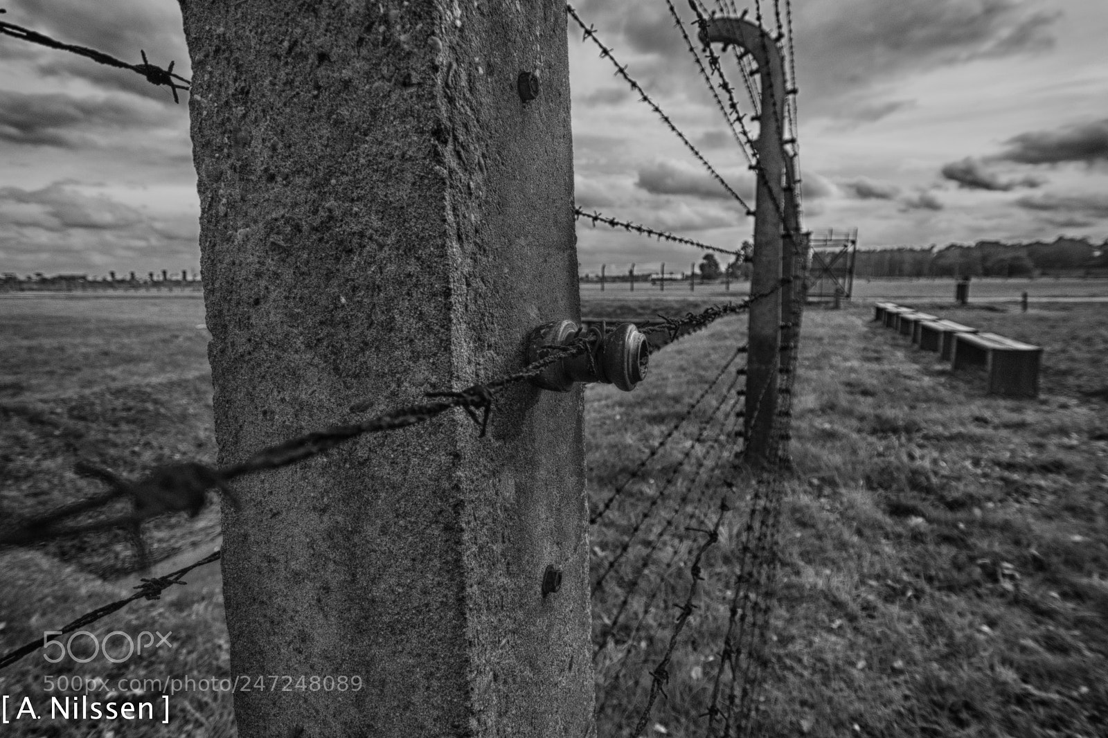 Nikon D500 sample photo. Barbed wire photography