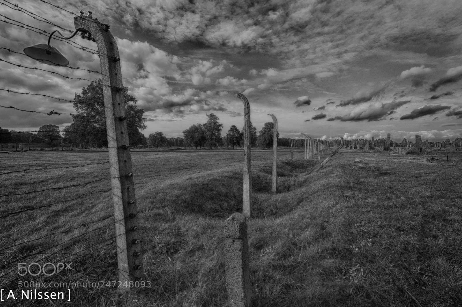 Nikon D500 sample photo. Birkenau - fence photography