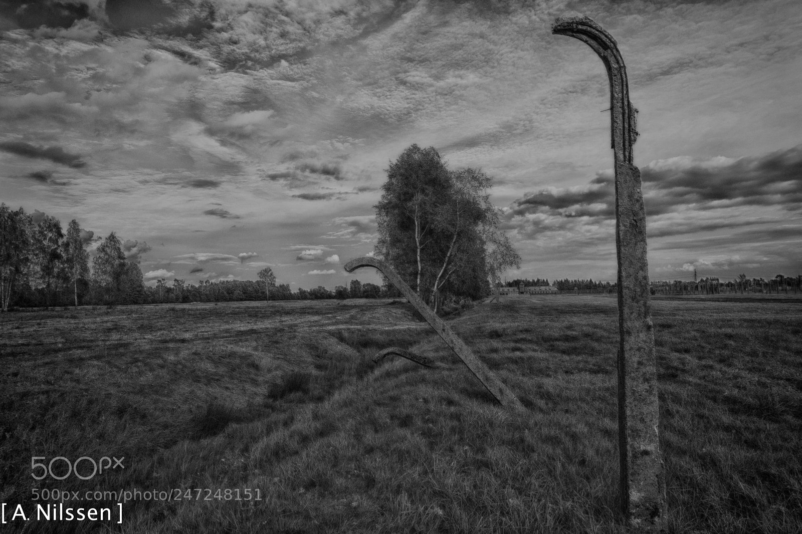Nikon D500 sample photo. Fence is falling down photography