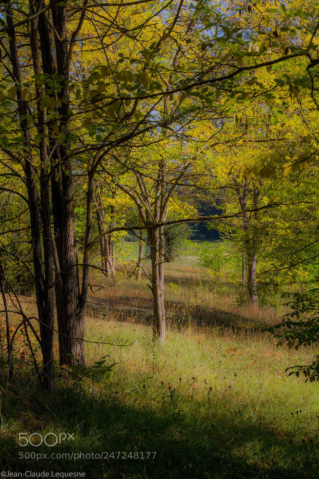 Canon EOS 60D sample photo. Country side 78 photography