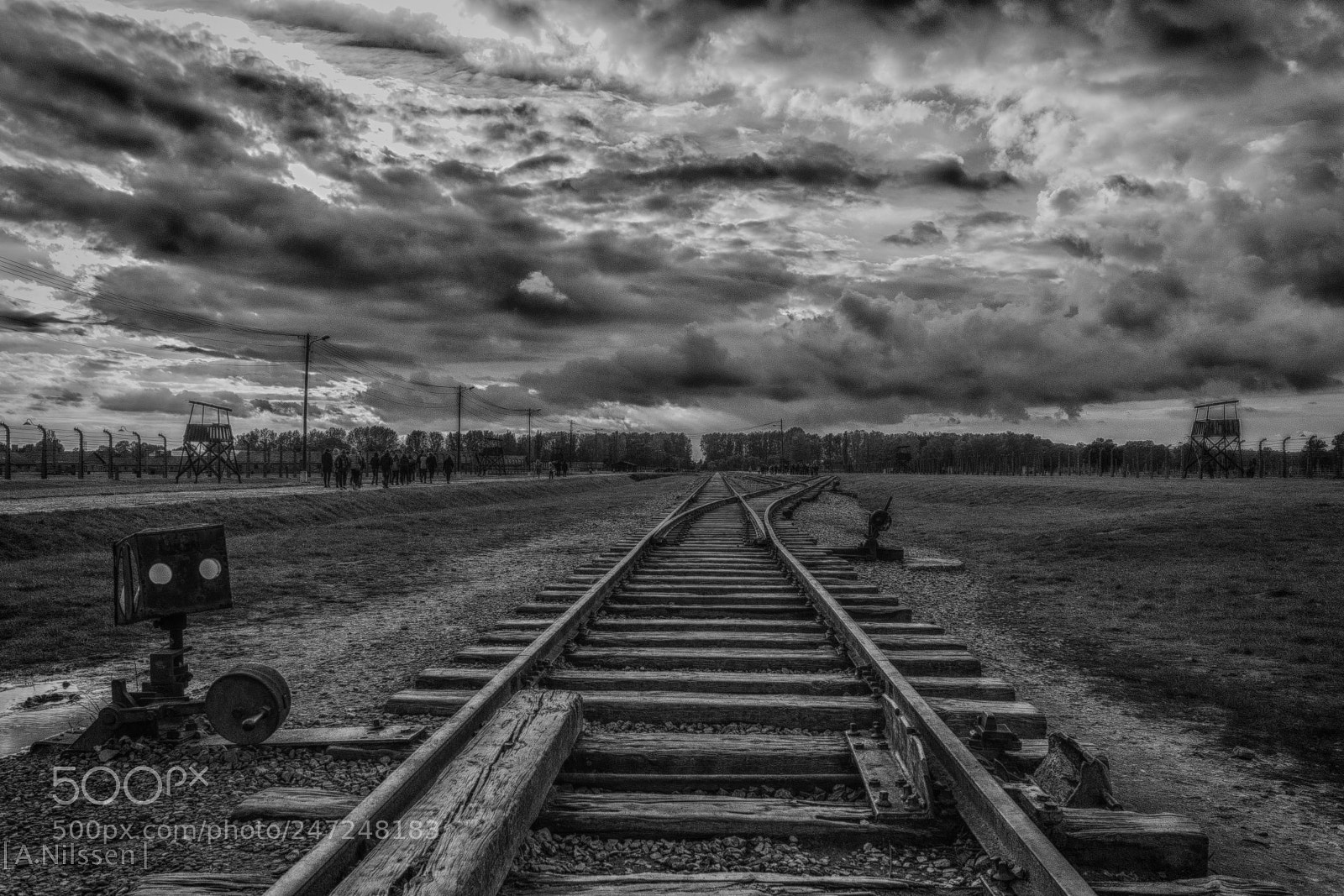Nikon D500 sample photo. Birkenau - the railroad photography