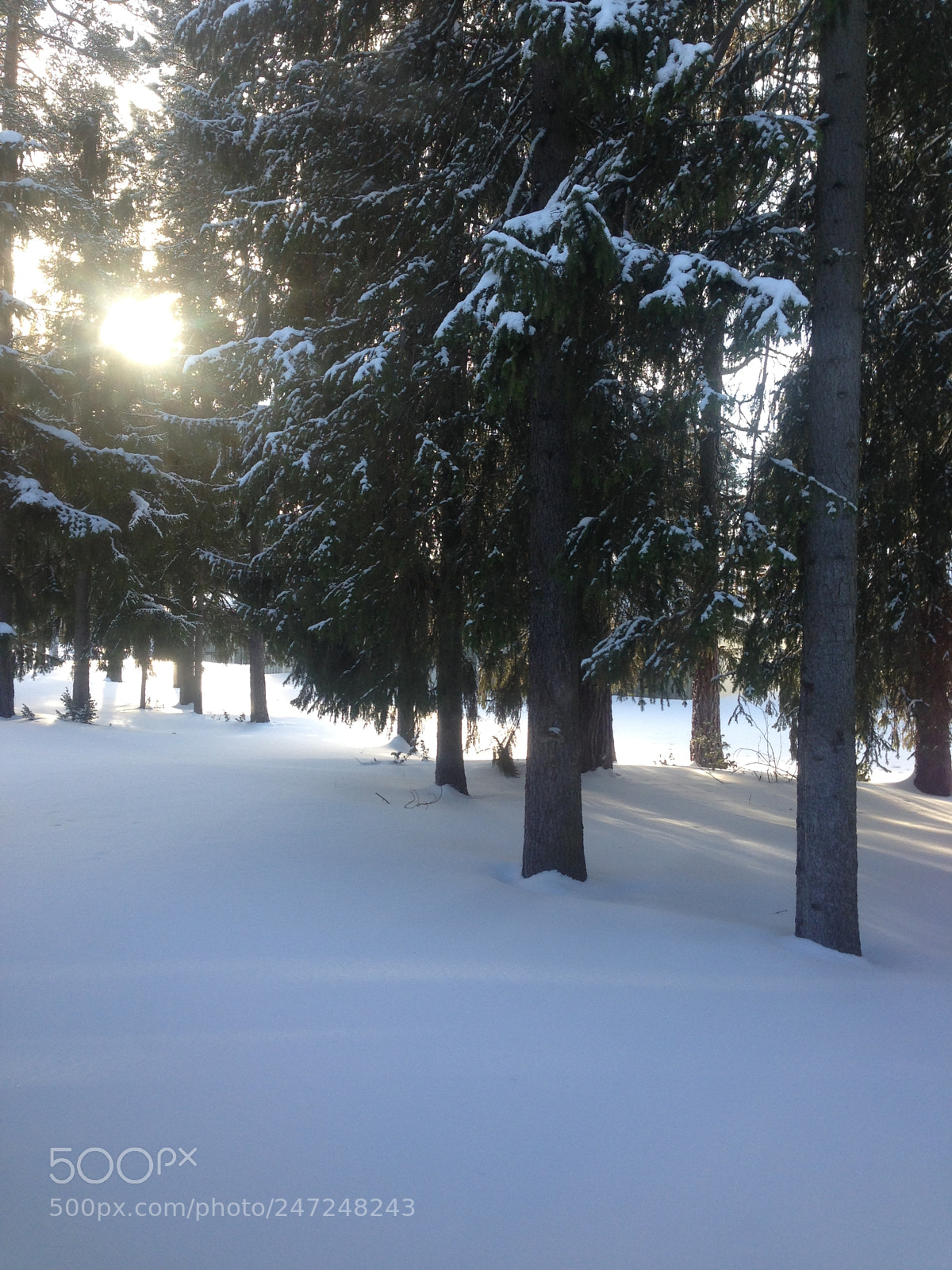 Apple iPhone 5 sample photo. Winter photography