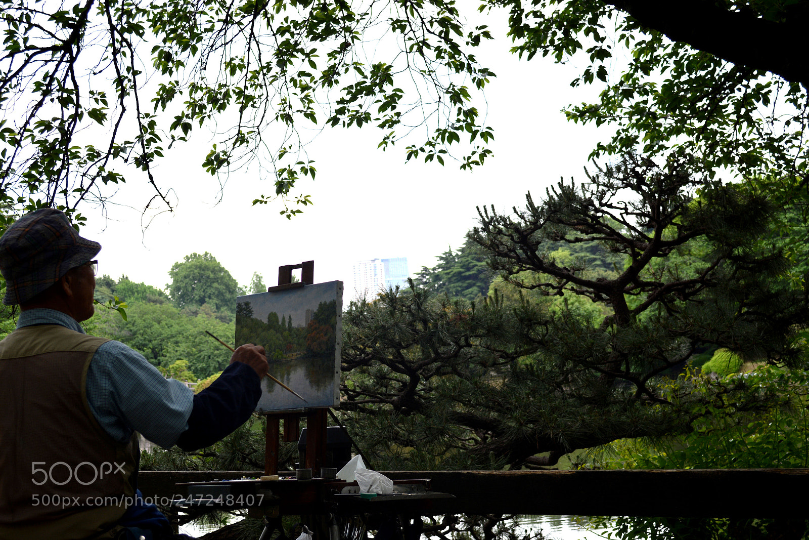 Nikon D5200 sample photo. Japanese gardens photography