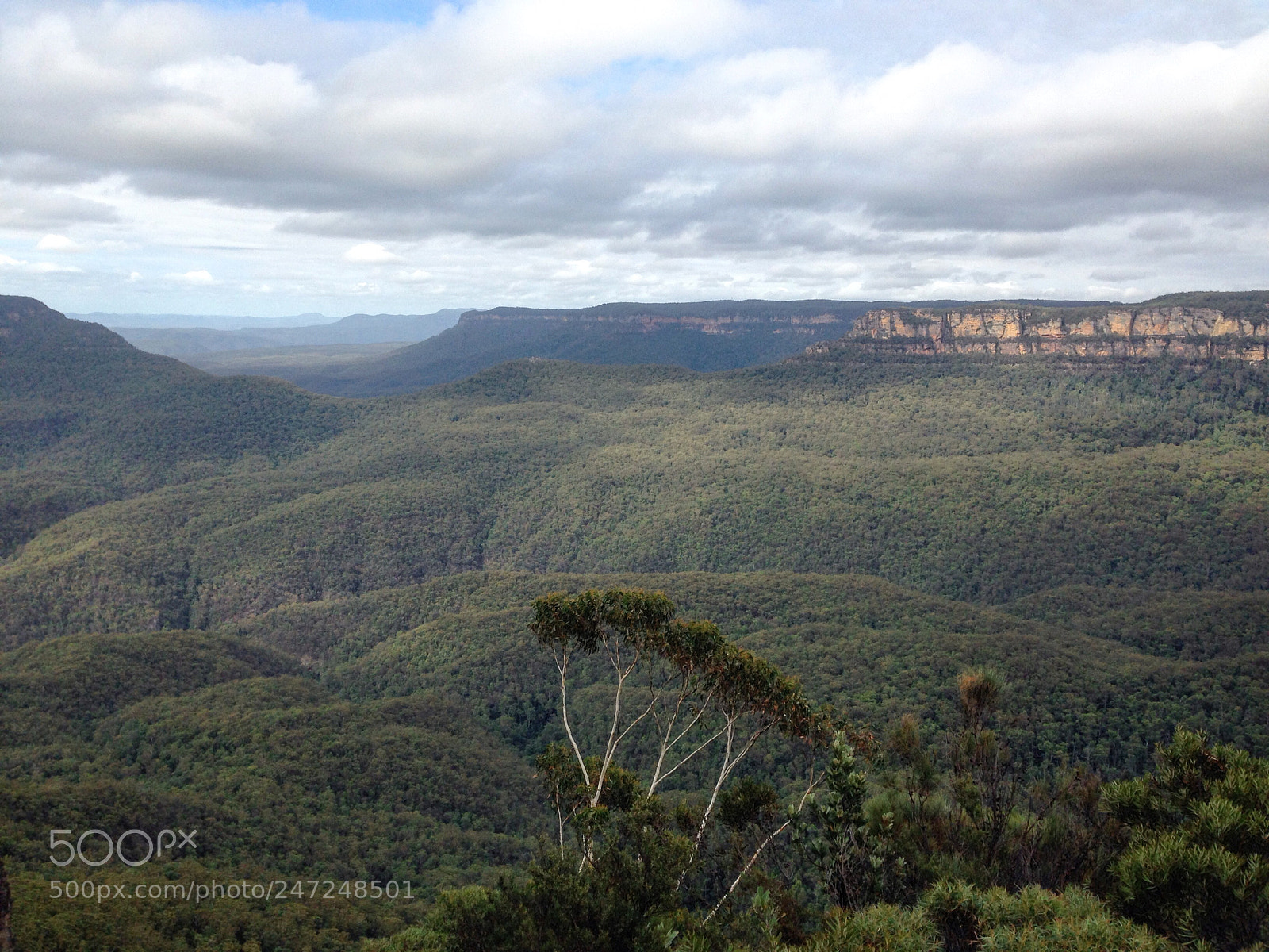 Apple iPhone 5 sample photo. Blue mountains photography