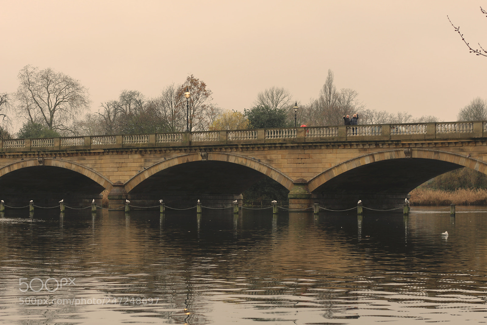 Canon EOS 700D (EOS Rebel T5i / EOS Kiss X7i) sample photo. Bridge photography