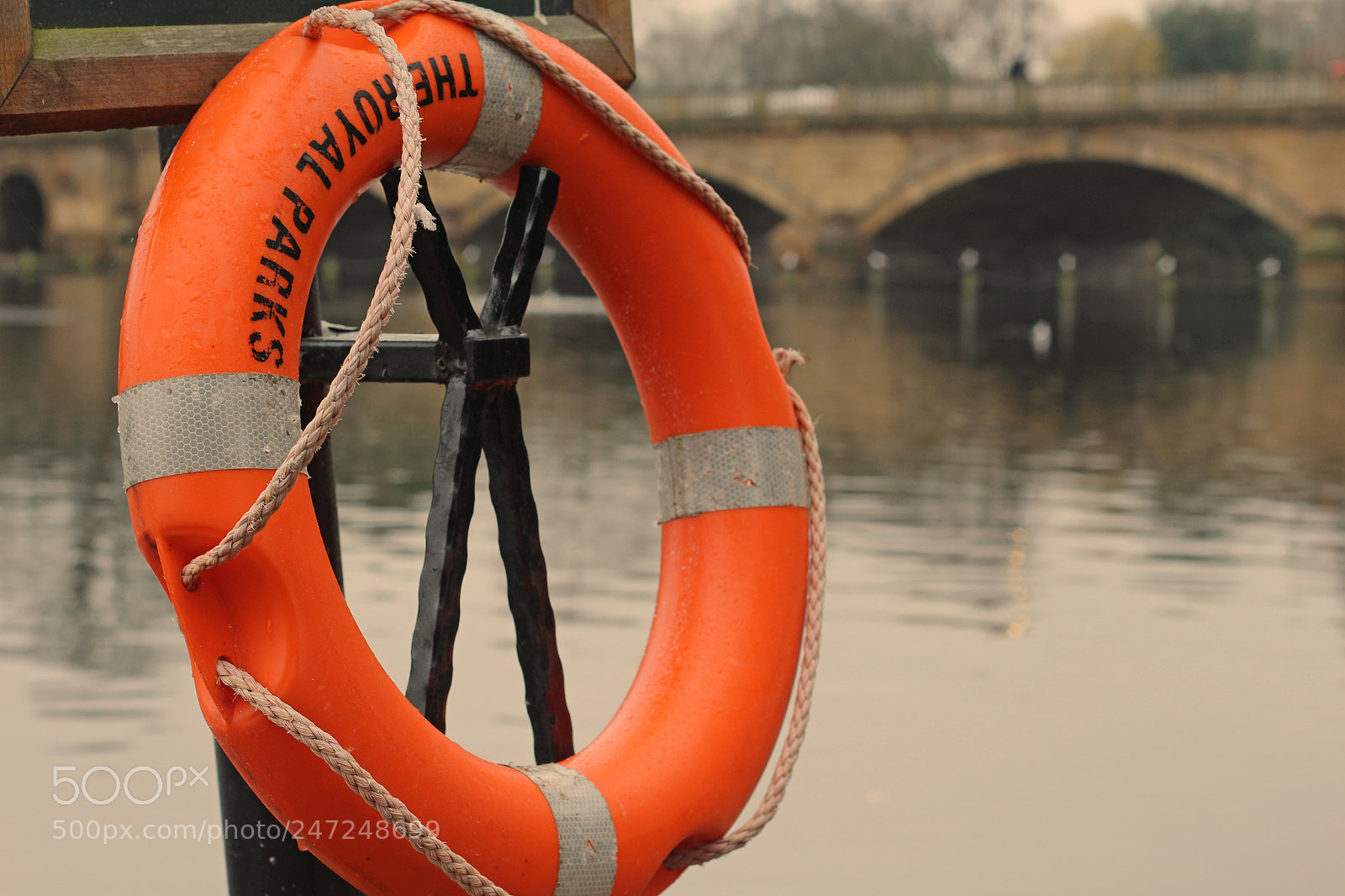 Canon EOS 700D (EOS Rebel T5i / EOS Kiss X7i) sample photo. Lifebuoy photography