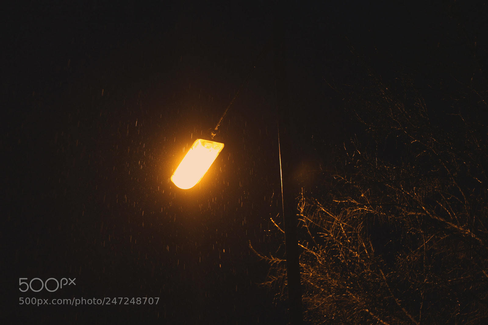 Canon EOS 700D (EOS Rebel T5i / EOS Kiss X7i) sample photo. Streetlight in the rain photography