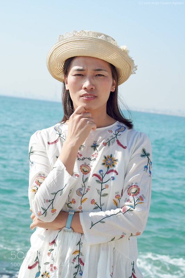 Nikon D7500 sample photo. Oriental series photography