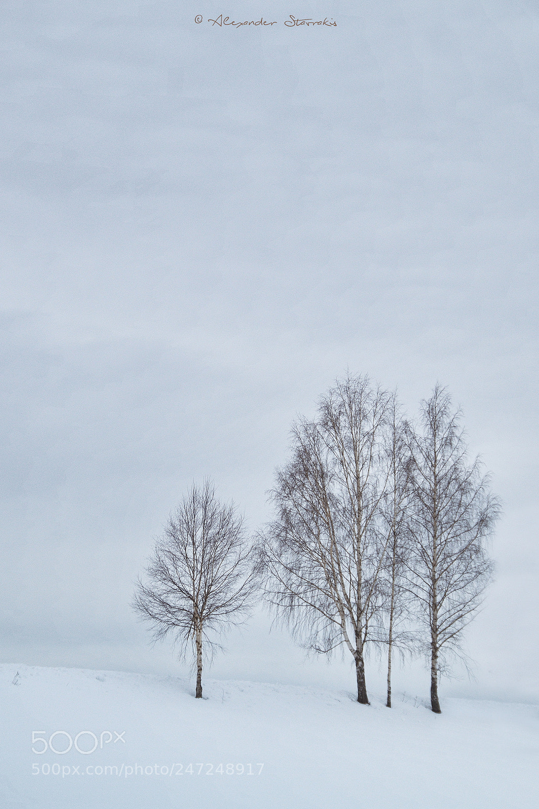Nikon D3100 sample photo. A family waiting for photography