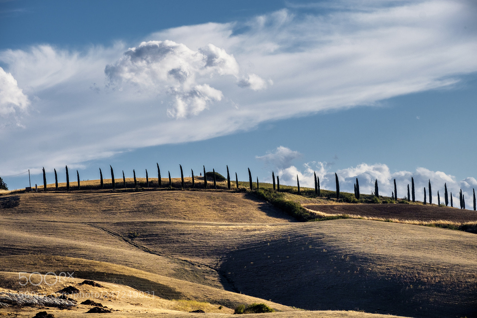 Fujifilm X-T20 sample photo. Summer landscape near asciano photography