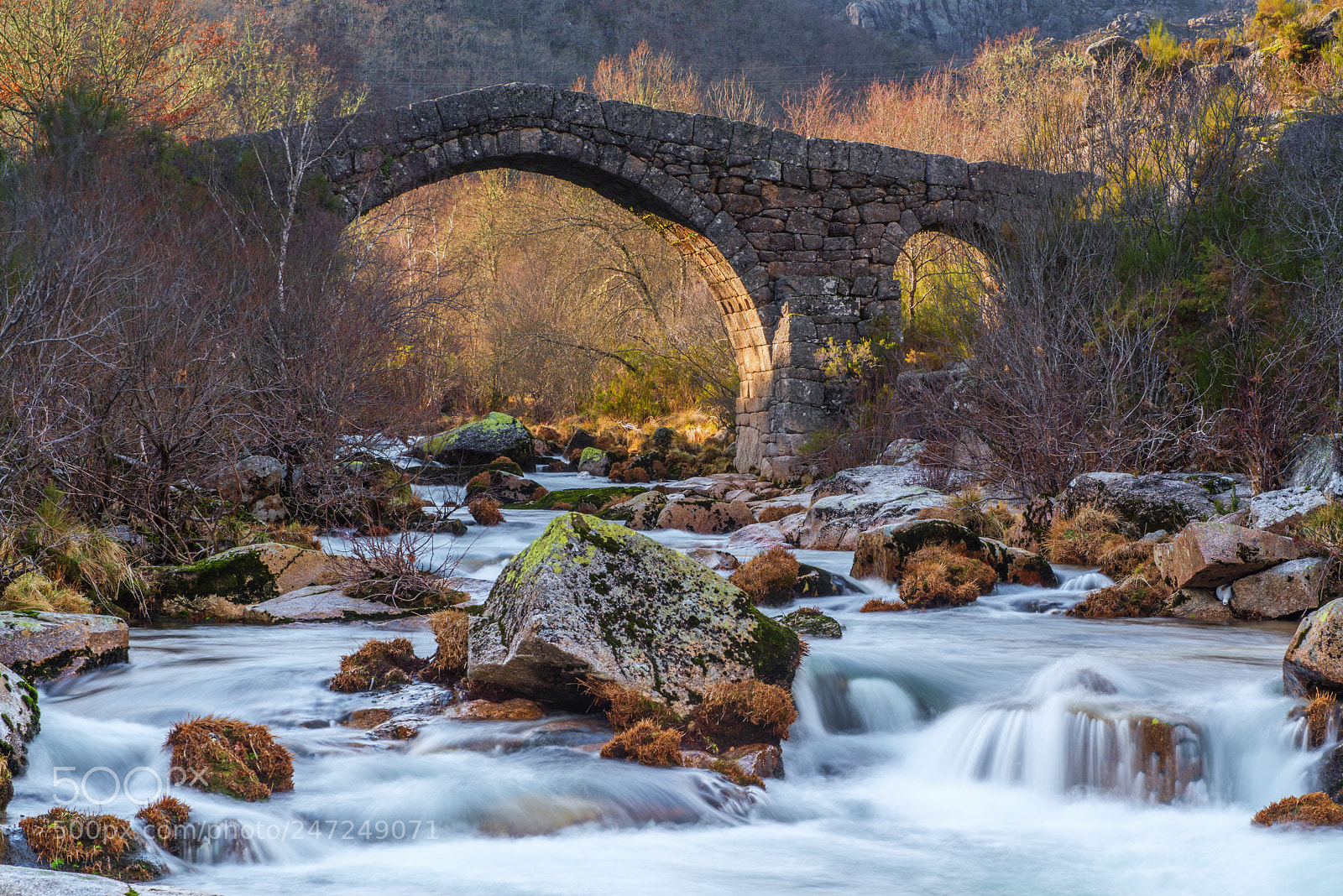 Nikon D600 sample photo. Bridge photography