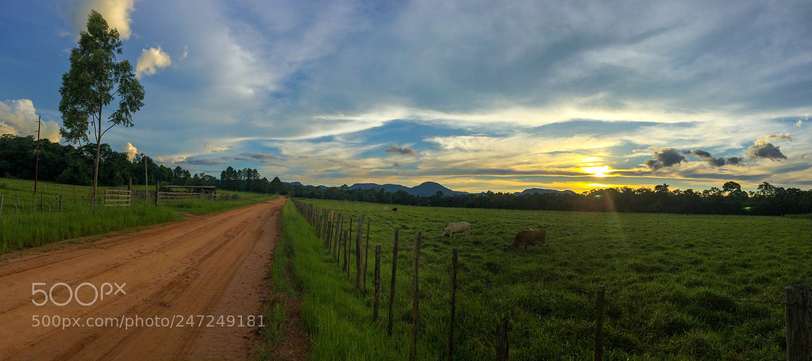 Apple iPhone 5s sample photo. Paraguay photography