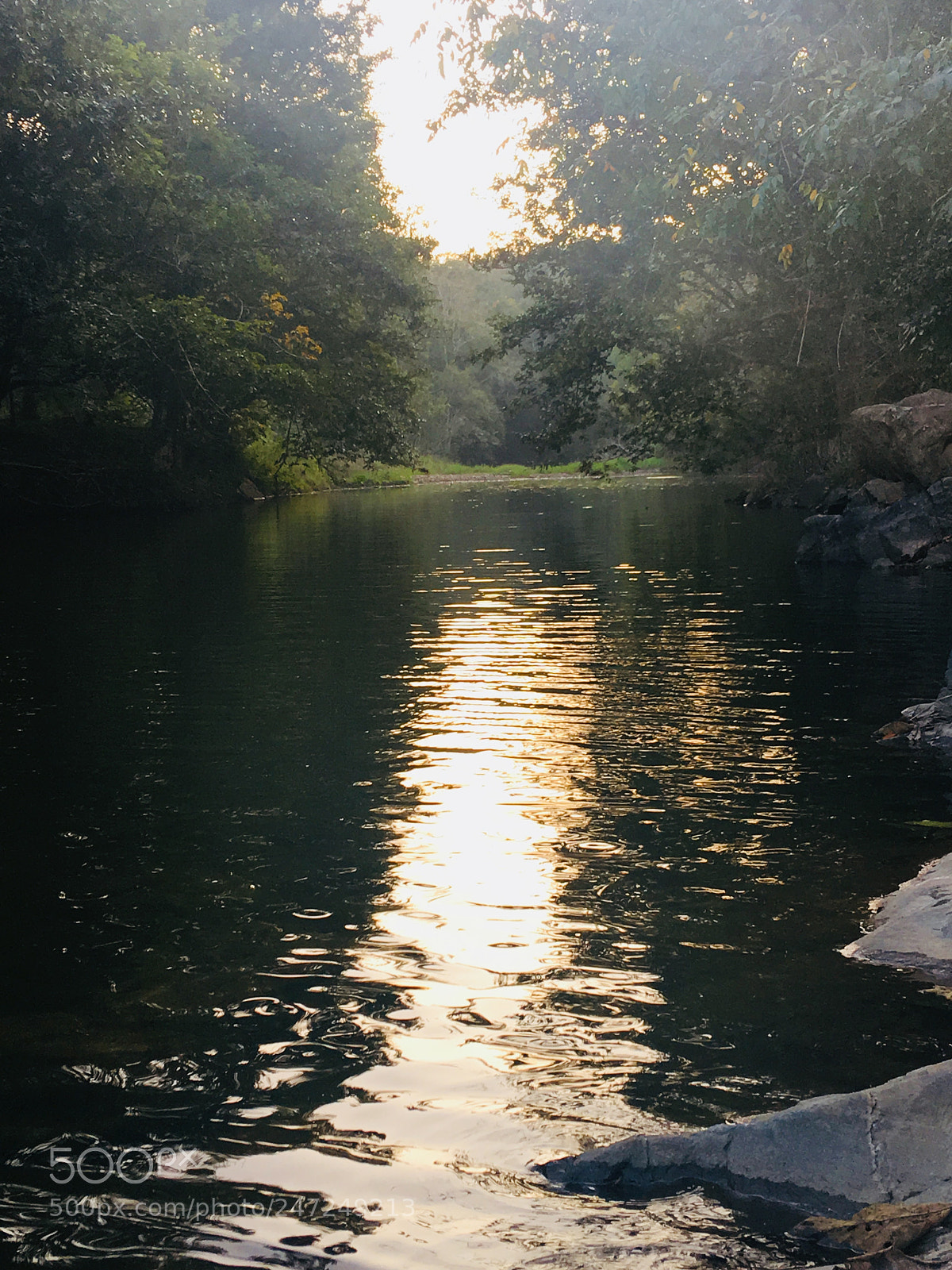 Apple iPhone 6s Plus sample photo. Untitled photography