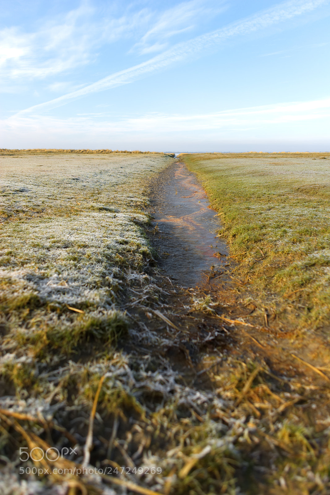 Sony Alpha DSLR-A350 sample photo. Hinterm deich gleich links... photography