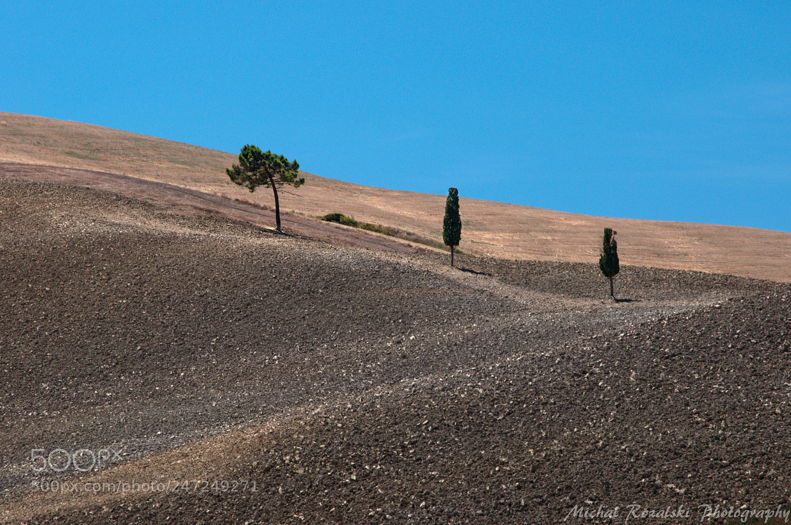 Nikon D90 sample photo. Three trees photography