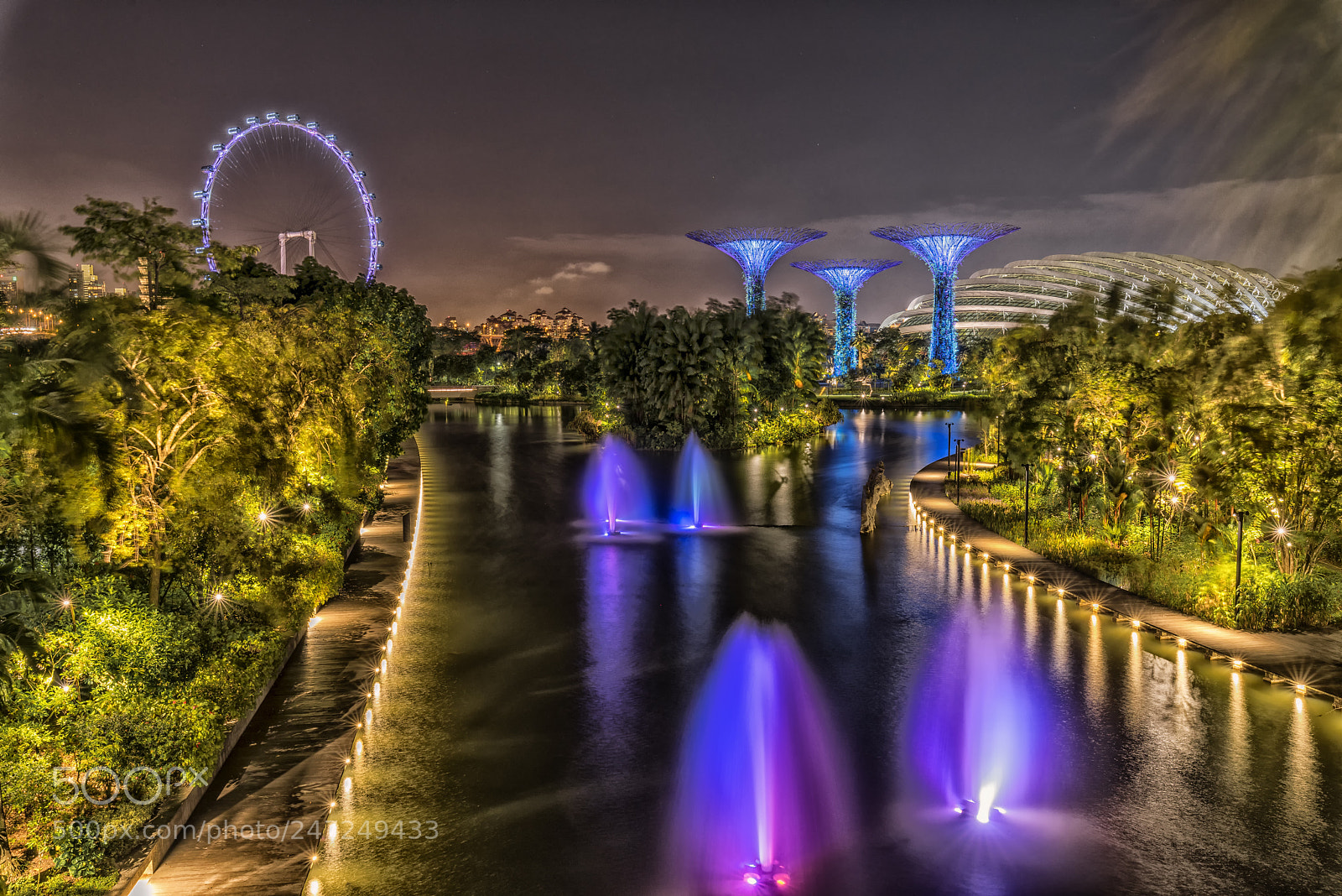 Nikon D810 sample photo. Singapore garden by the photography