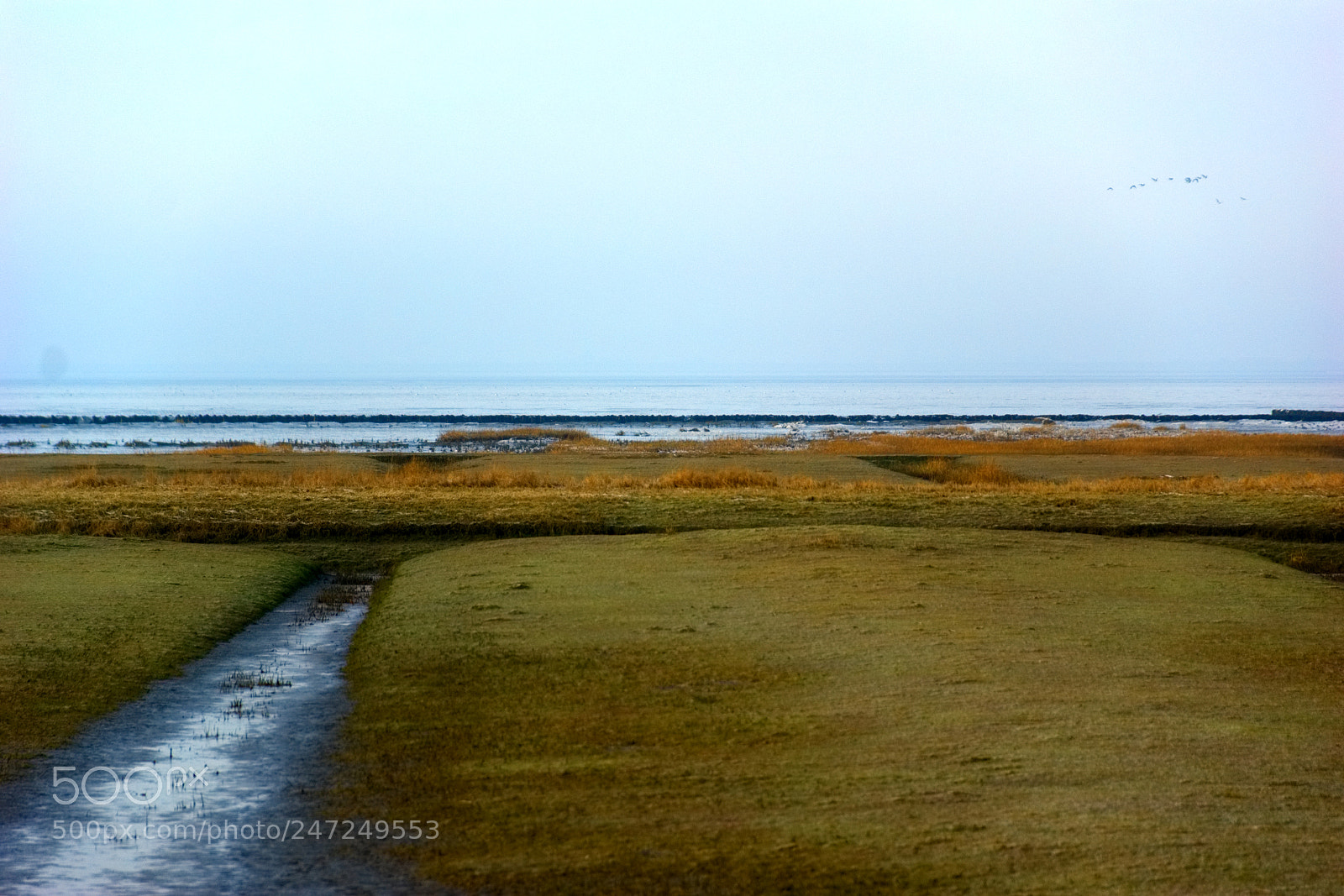 Sony Alpha DSLR-A350 sample photo. Am rande der nordsee photography