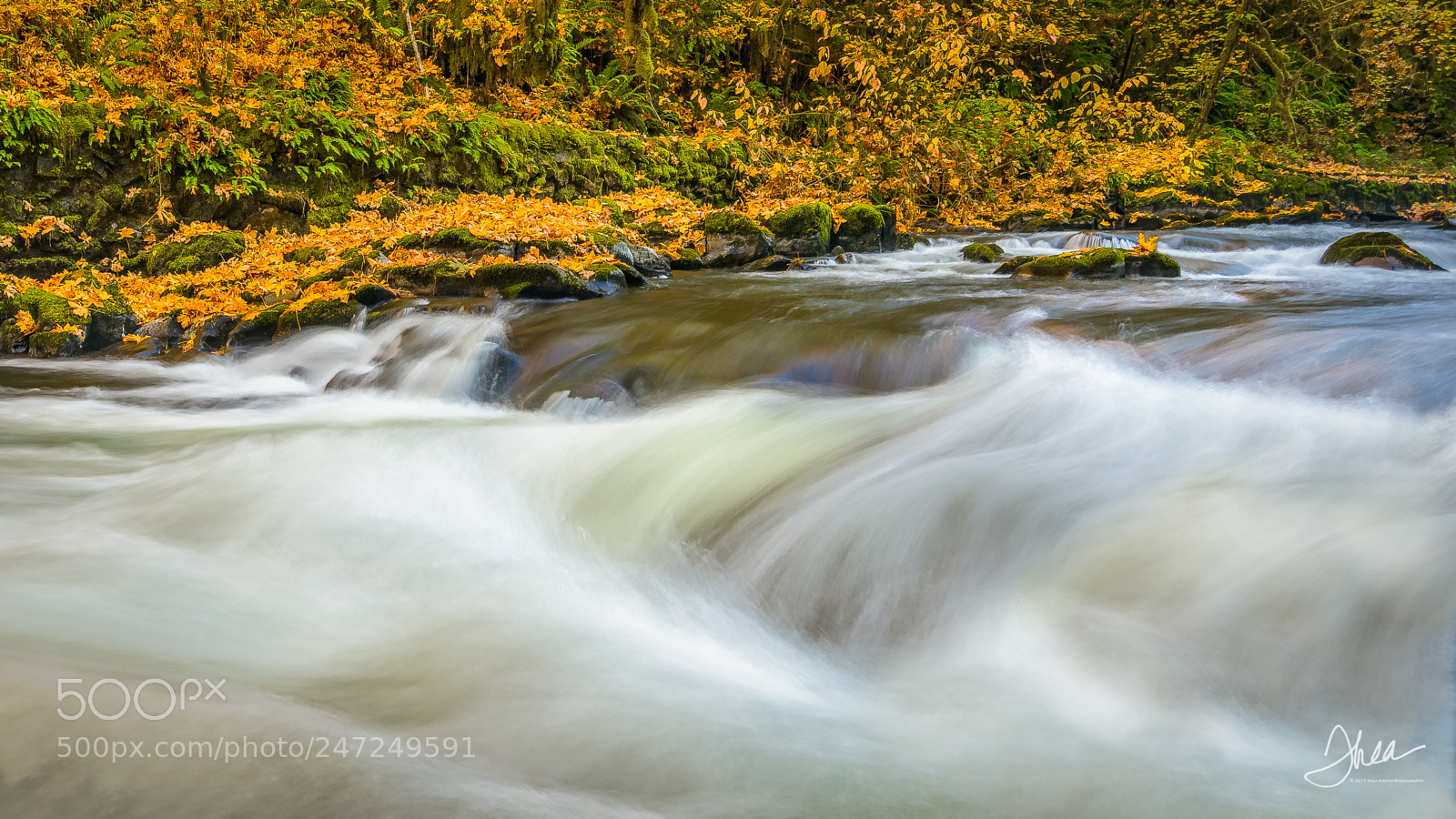 Nikon D810 sample photo. Waterfalls at the grist photography
