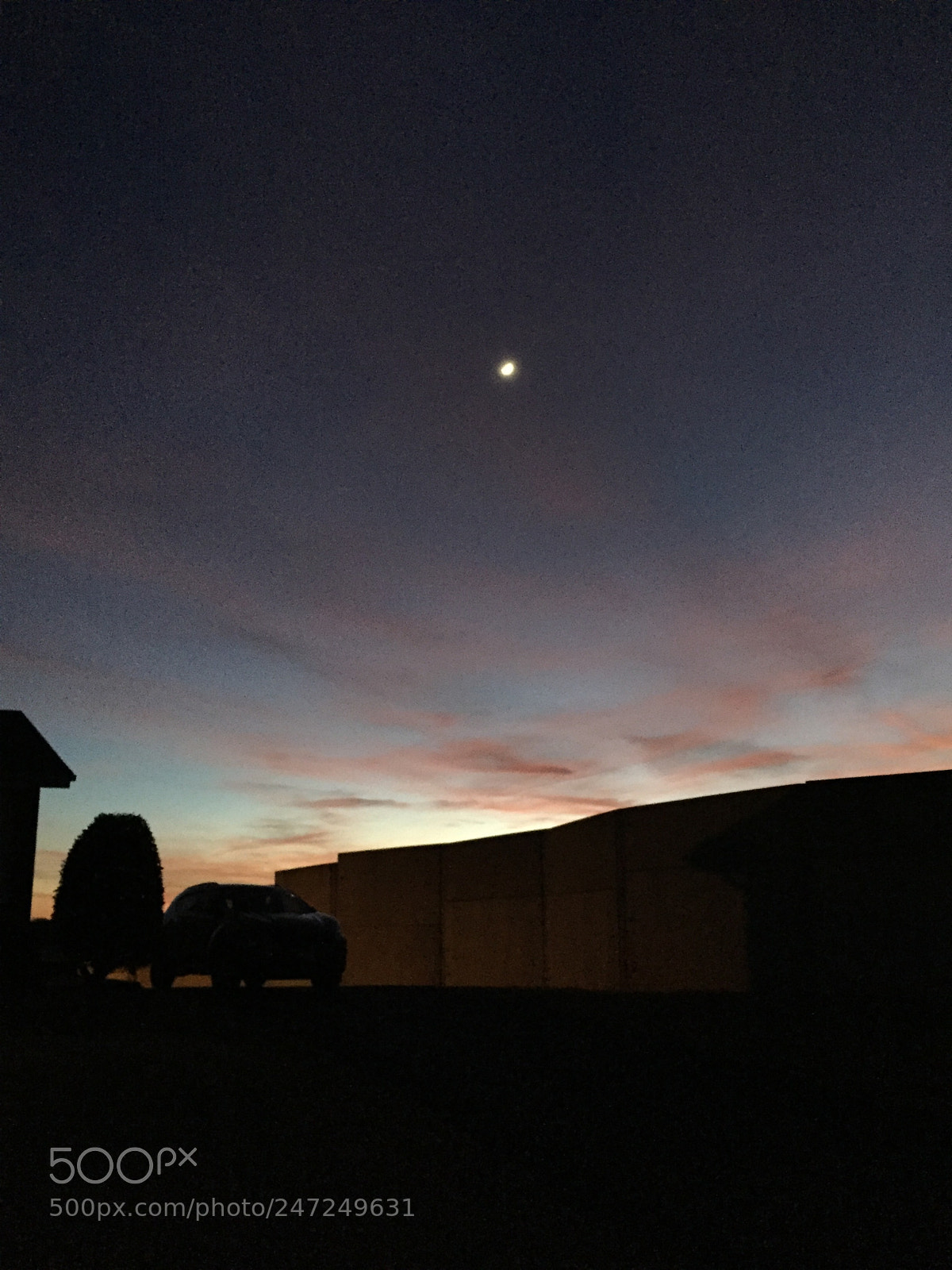 Apple iPhone 6 sample photo. A beautiful collision of photography