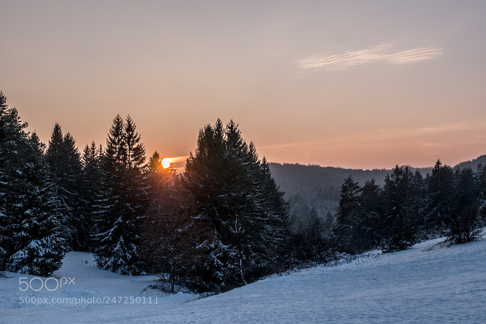 Panasonic DMC-G70 sample photo. Winter woods photography