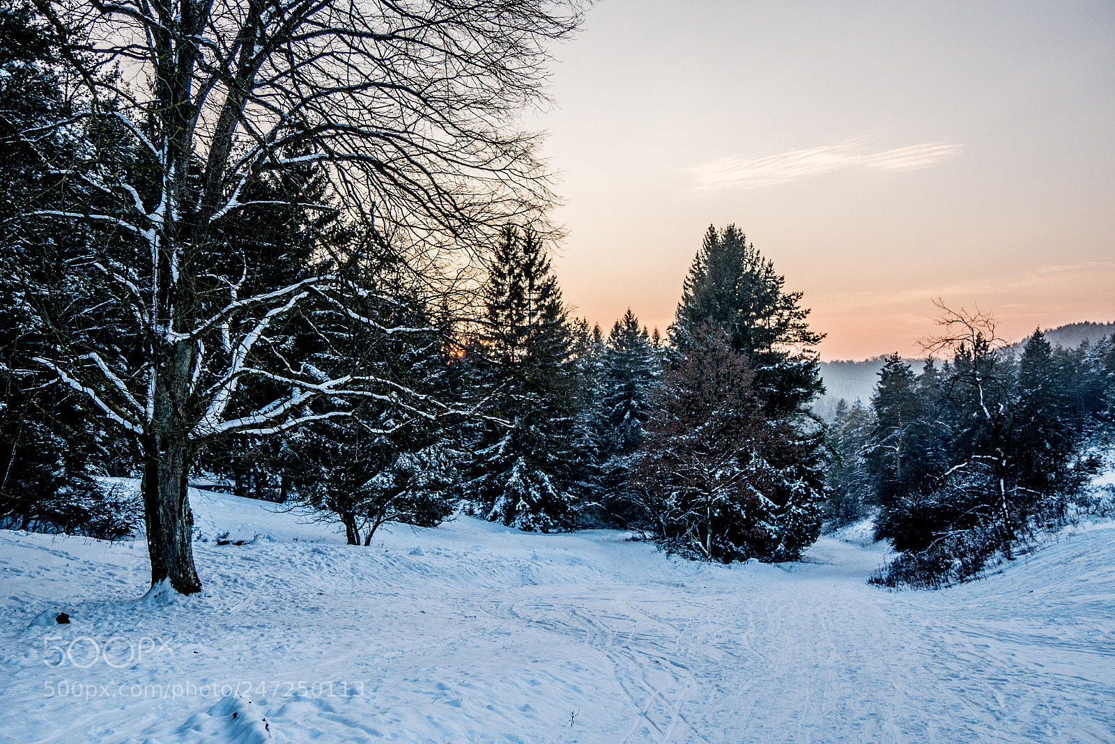 Panasonic DMC-G70 sample photo. Winter woods photography