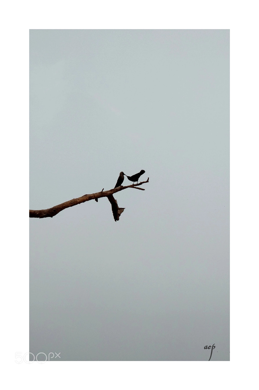 Xiaomi Mi A1 sample photo. Love photography
