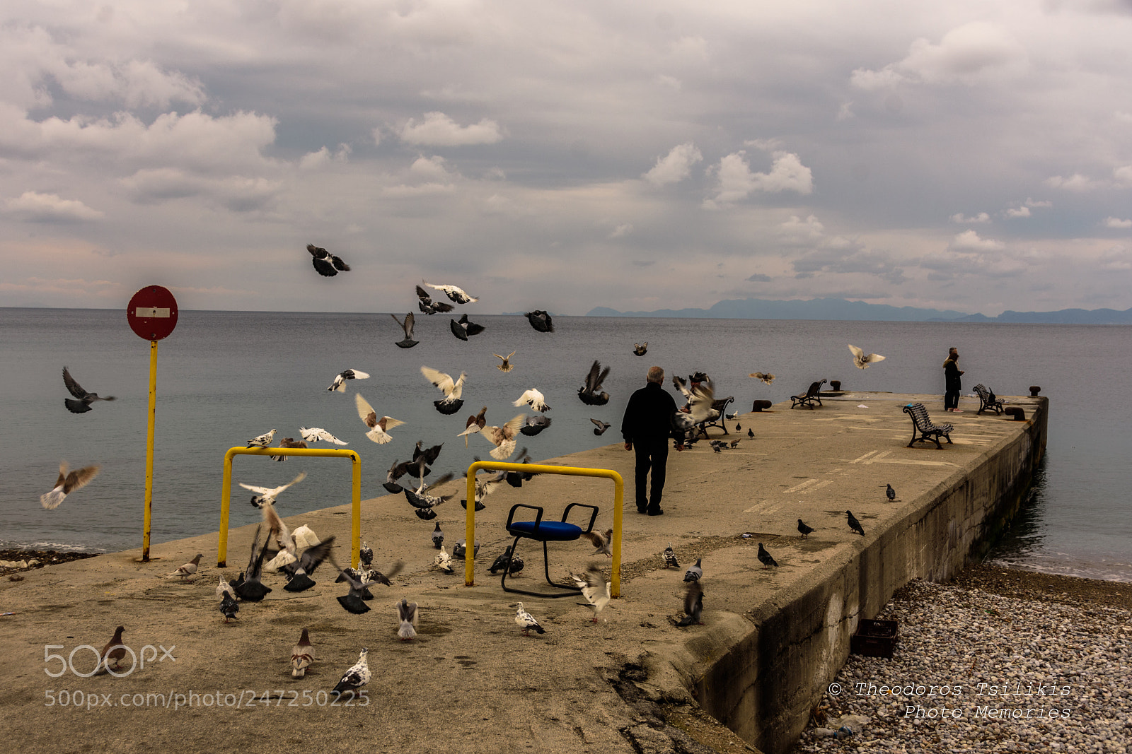 Nikon D7200 sample photo. The man who feeds photography