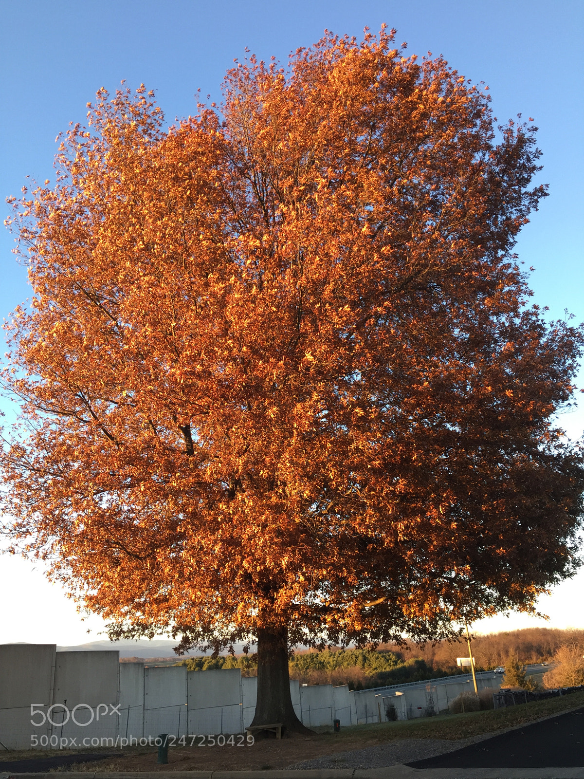 Apple iPhone 6 sample photo. A moment of peace photography