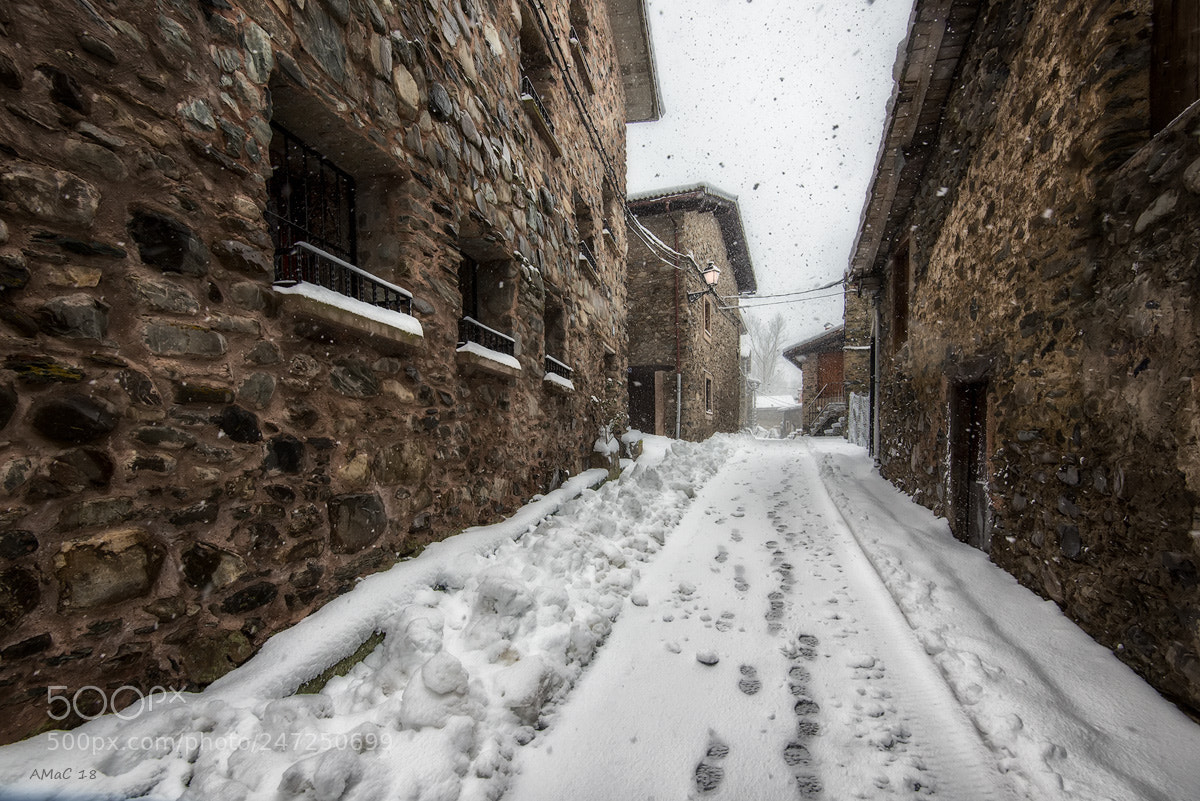 Nikon D600 sample photo. Nevando photography