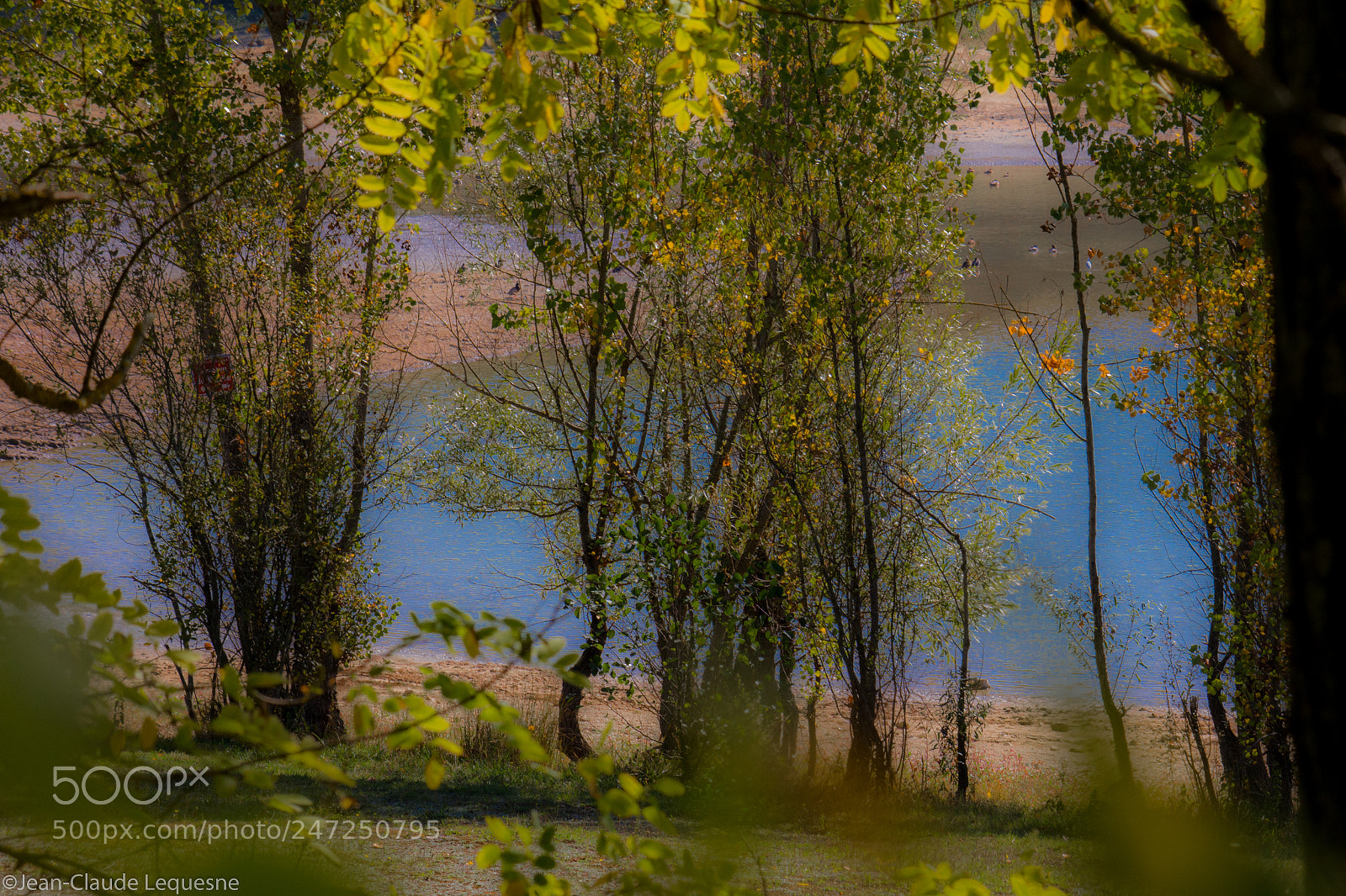 Canon EOS 60D sample photo. Autour du lac 27 photography