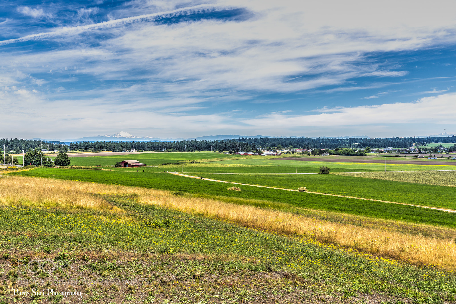 Sony a99 II sample photo. Truly pacific northwest photography