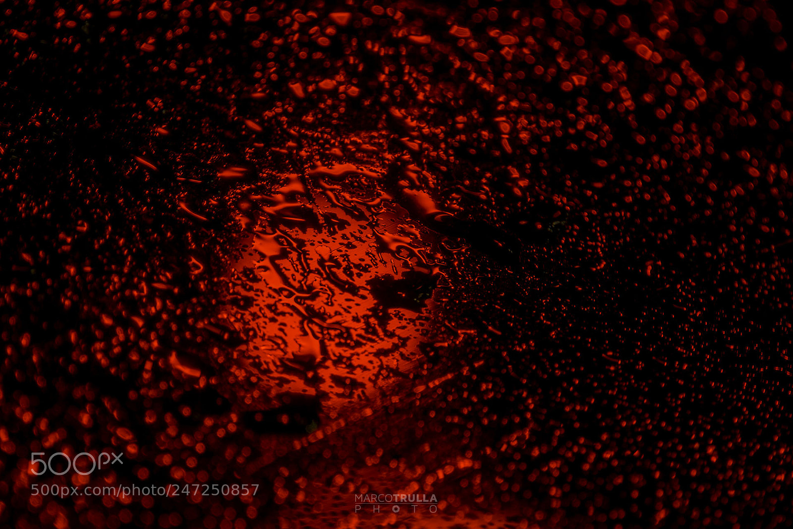 Nikon D7200 sample photo. Red rain ...is falling photography