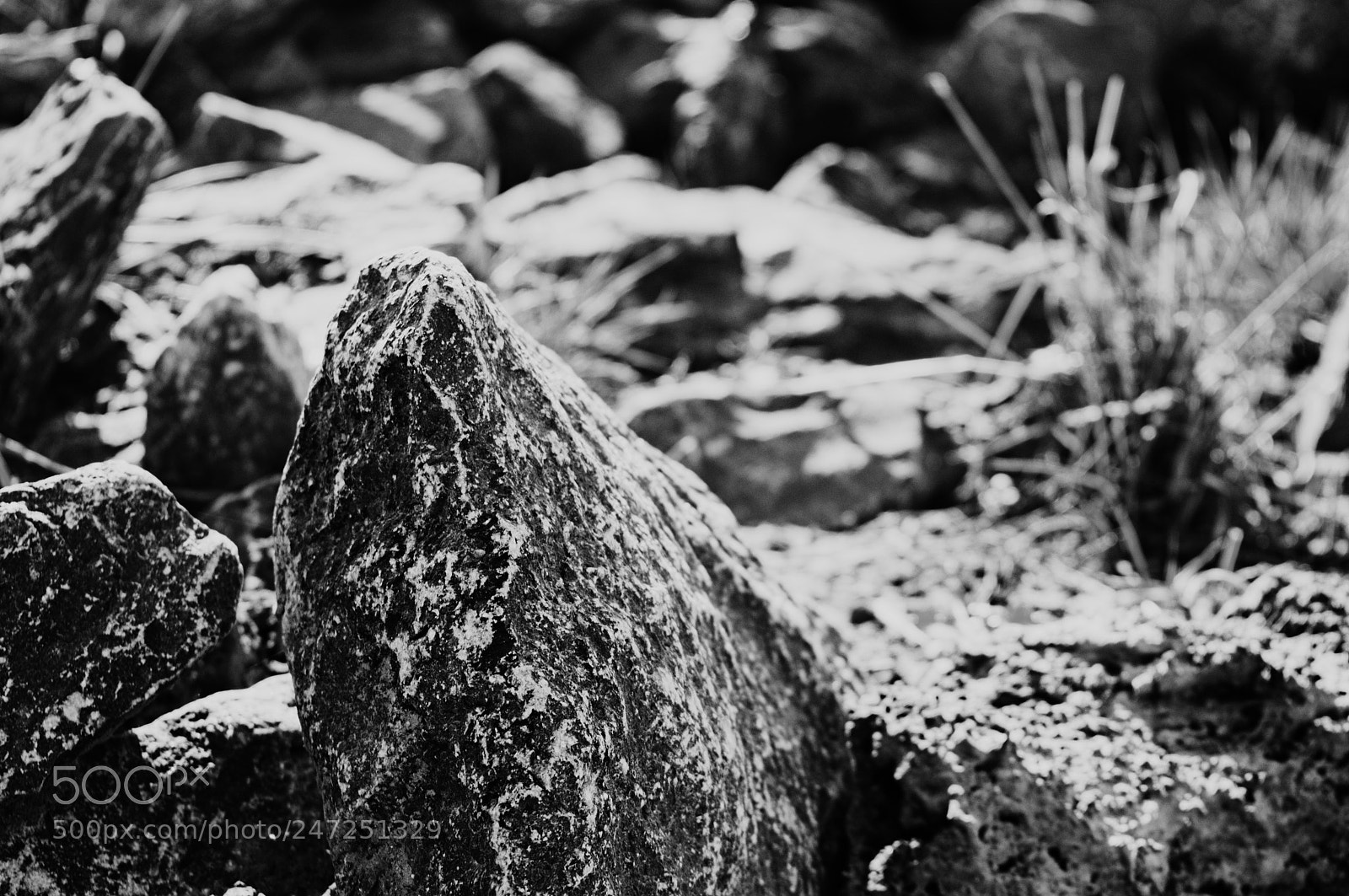 Nikon D3200 sample photo. Stone... photography