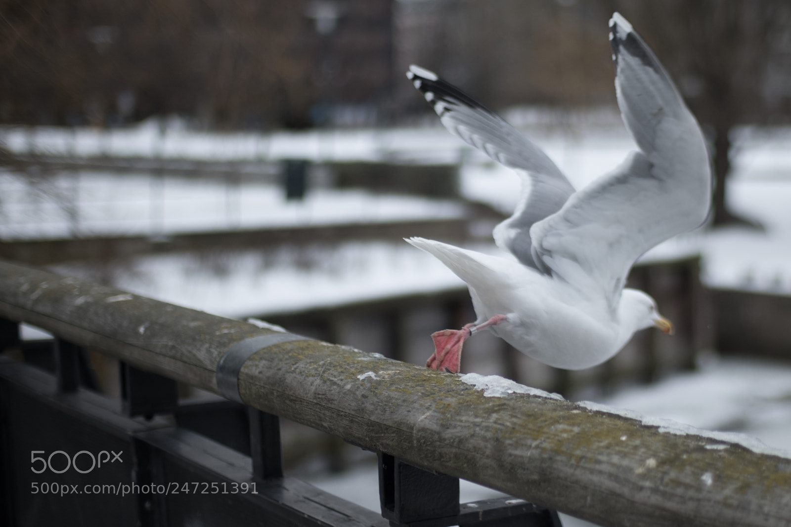 Fujifilm X-T2 sample photo. Untitled photography