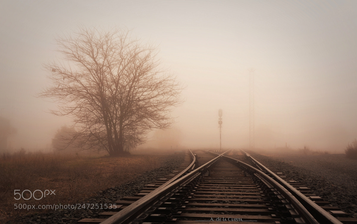 Nikon D7100 sample photo. Heading to the unknown photography