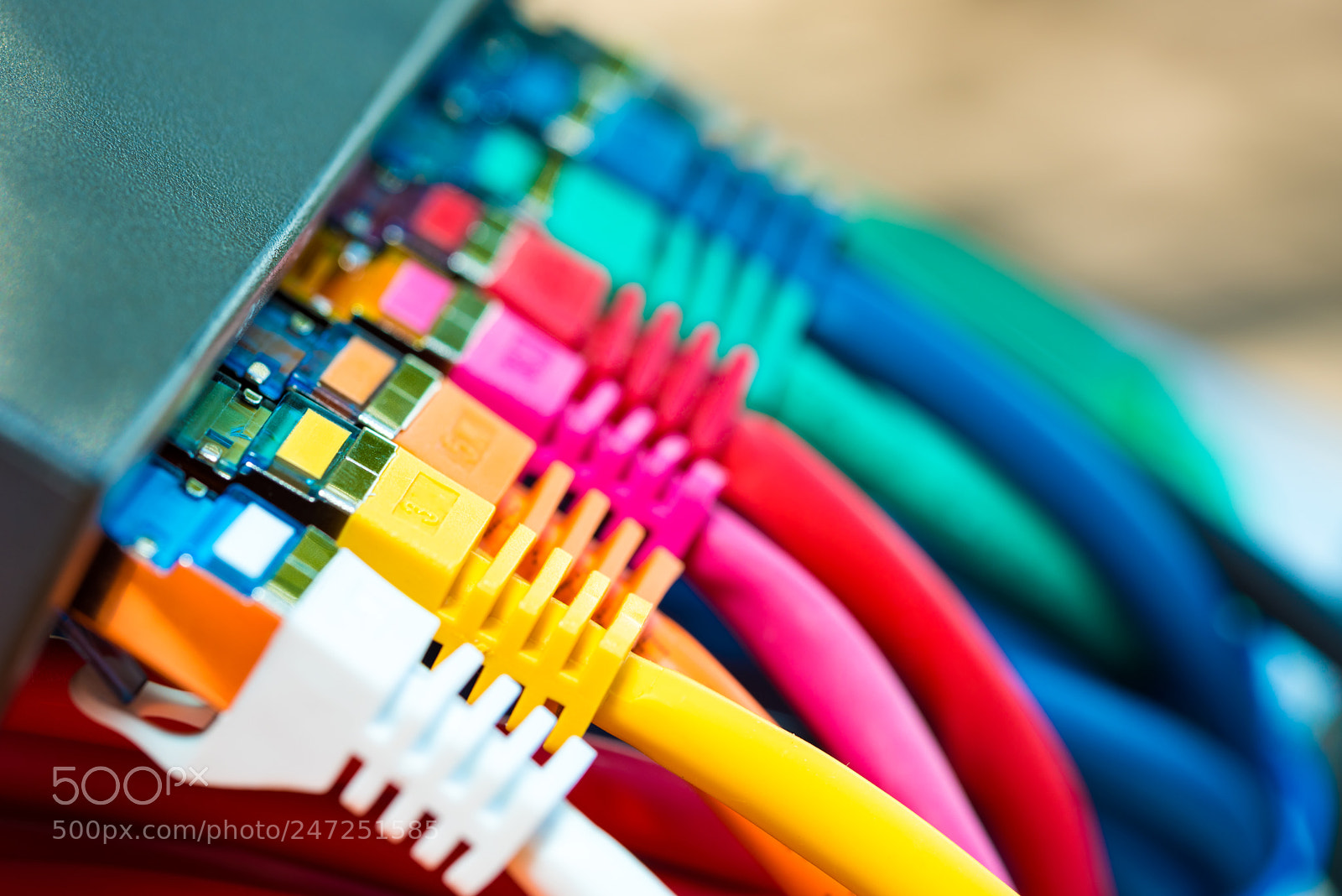 Nikon D810 sample photo. Network cables photography