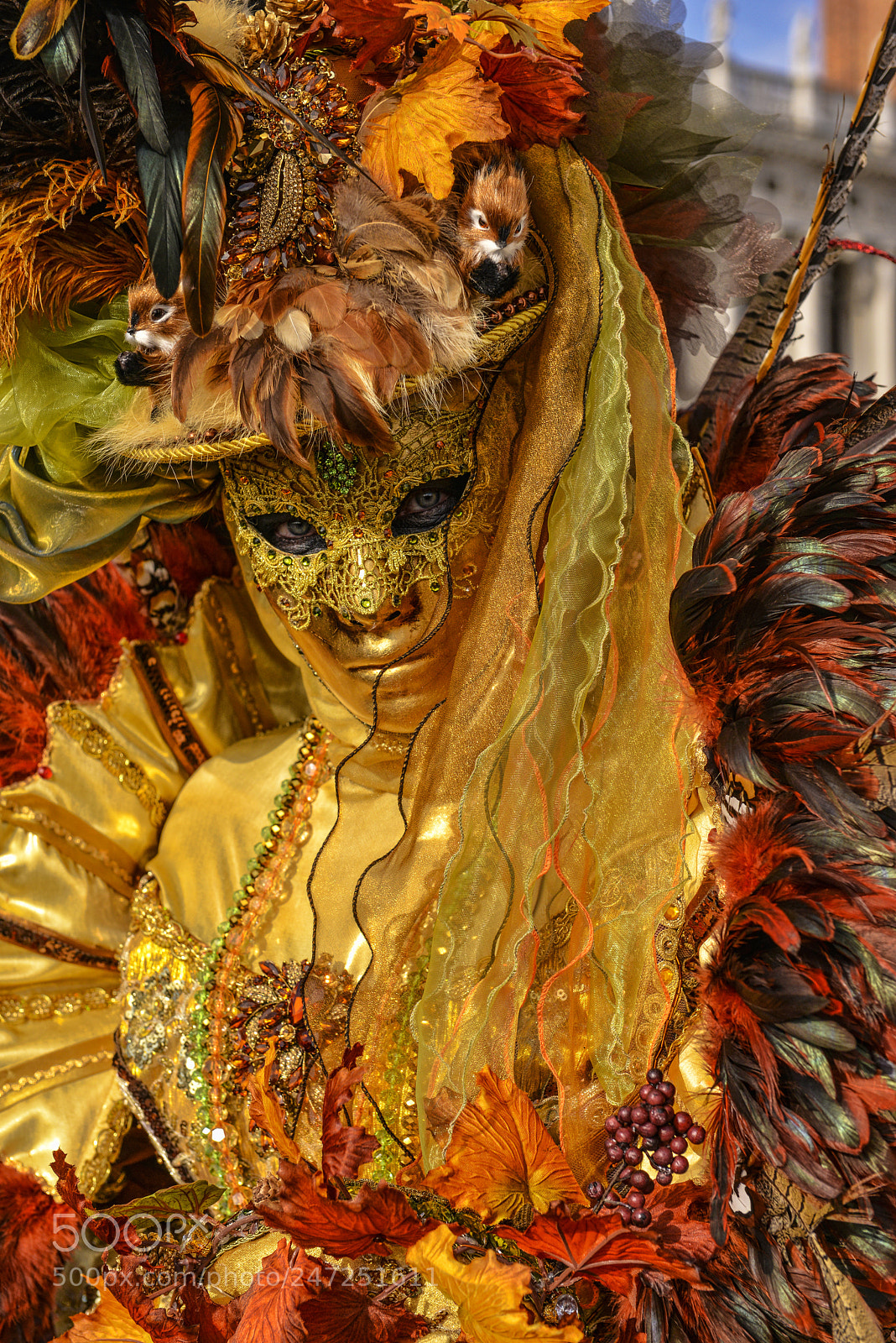 Nikon D800 sample photo. Who is behind the photography