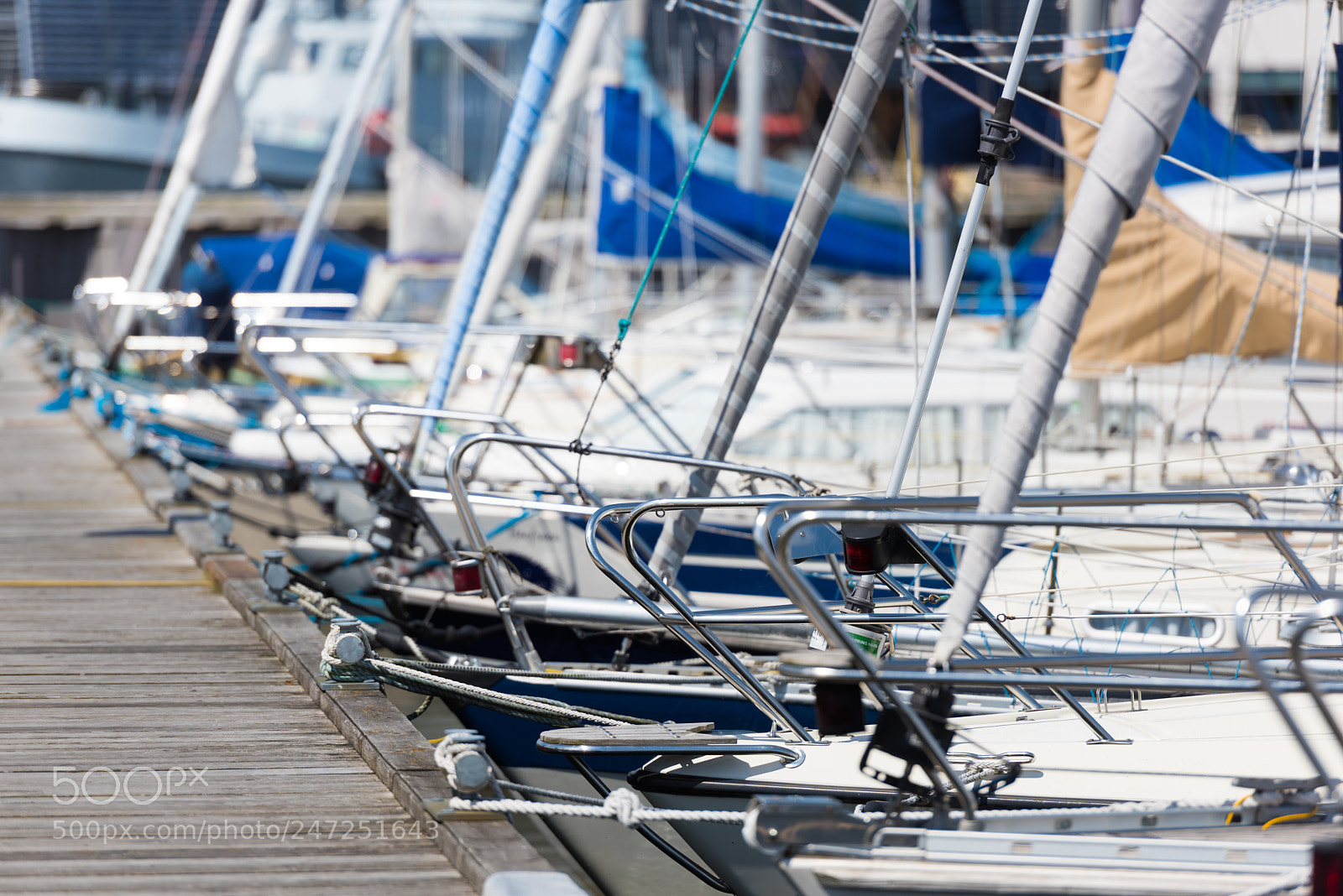 Nikon D810 sample photo. Safe harbor photography