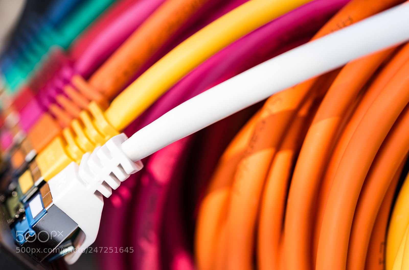 Nikon D810 sample photo. Network cables photography