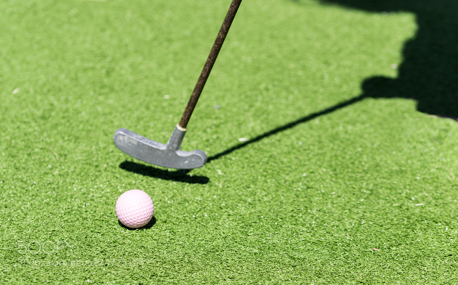 Nikon D810 sample photo. Miniature golf photography