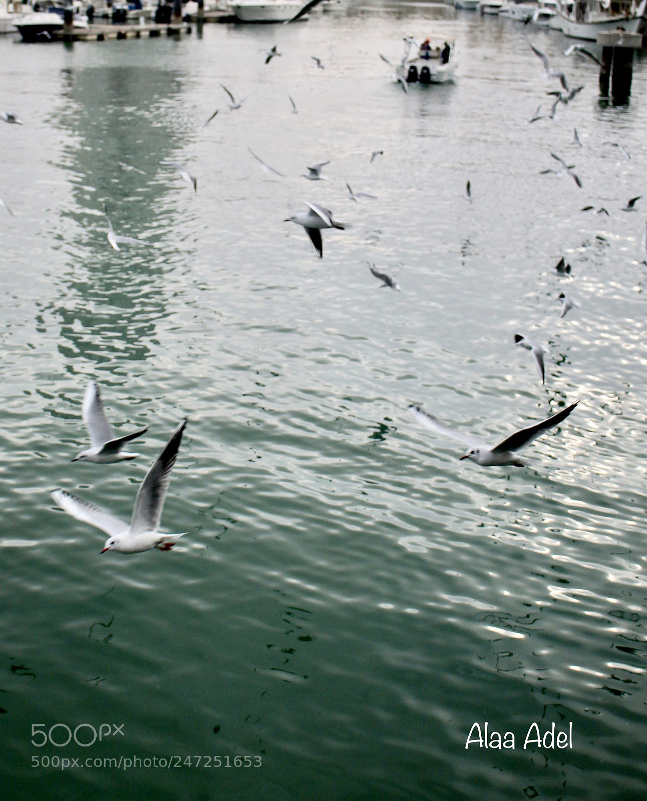 Canon EOS 1100D (EOS Rebel T3 / EOS Kiss X50) sample photo. Untitled photography